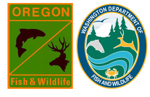 NSIA works with ODFW, WDFW to expand end-of-year fishing