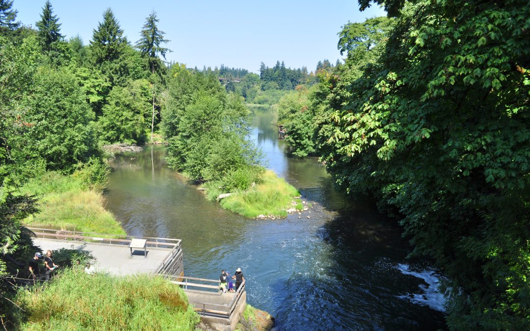 Sportfishing Advocates Urge Funding for WA Deschutes River Watershed Center and Salmon Hatchery