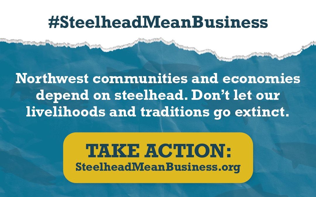 Steelhead Mean Business