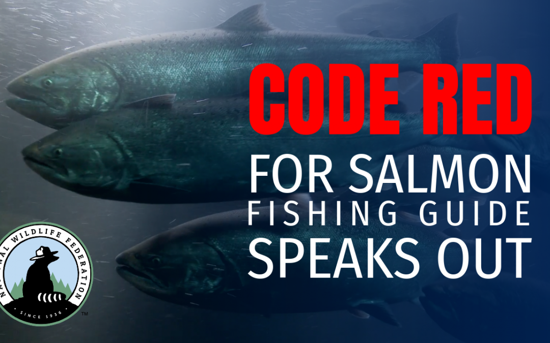 Code Red: Lacey Deweert Urges Fishing Community to Take Action on Salmon Crisis