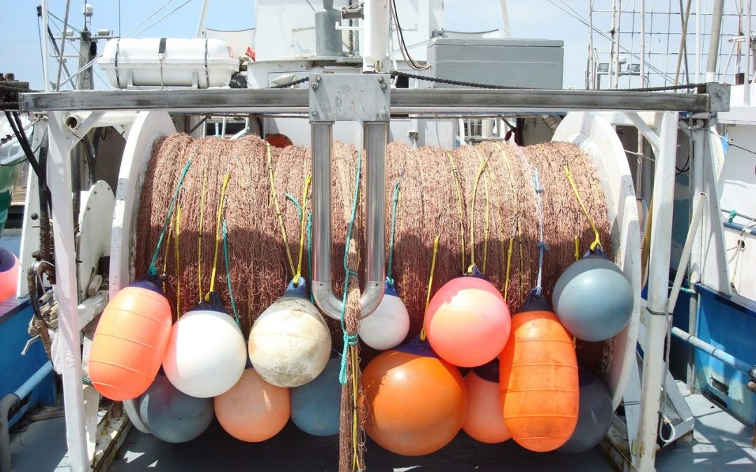 NSIA Signs Letter to Congress Supporting Driftnet Modernization and Bycatch Reduction Act
